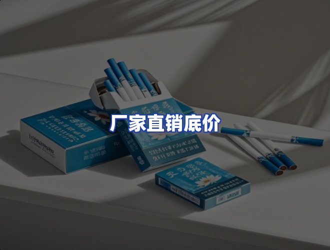 专业团队